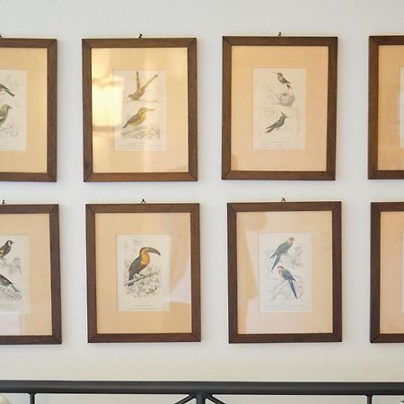 Apartament Il Nespolo Di Campopisano Genua Zewnętrze zdjęcie